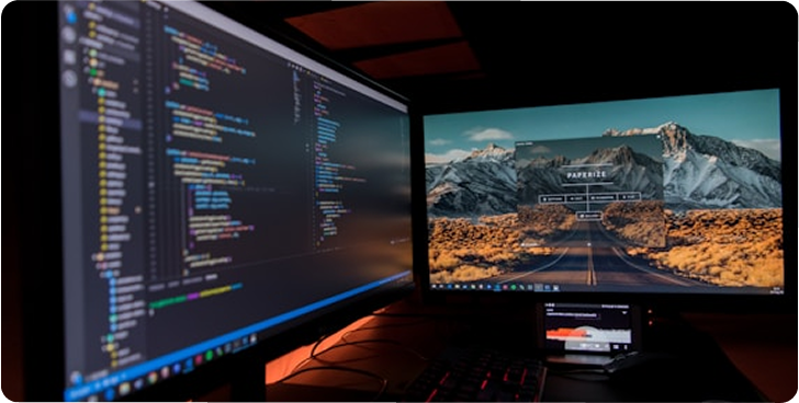 Developer